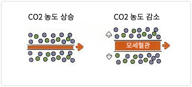 카복시2